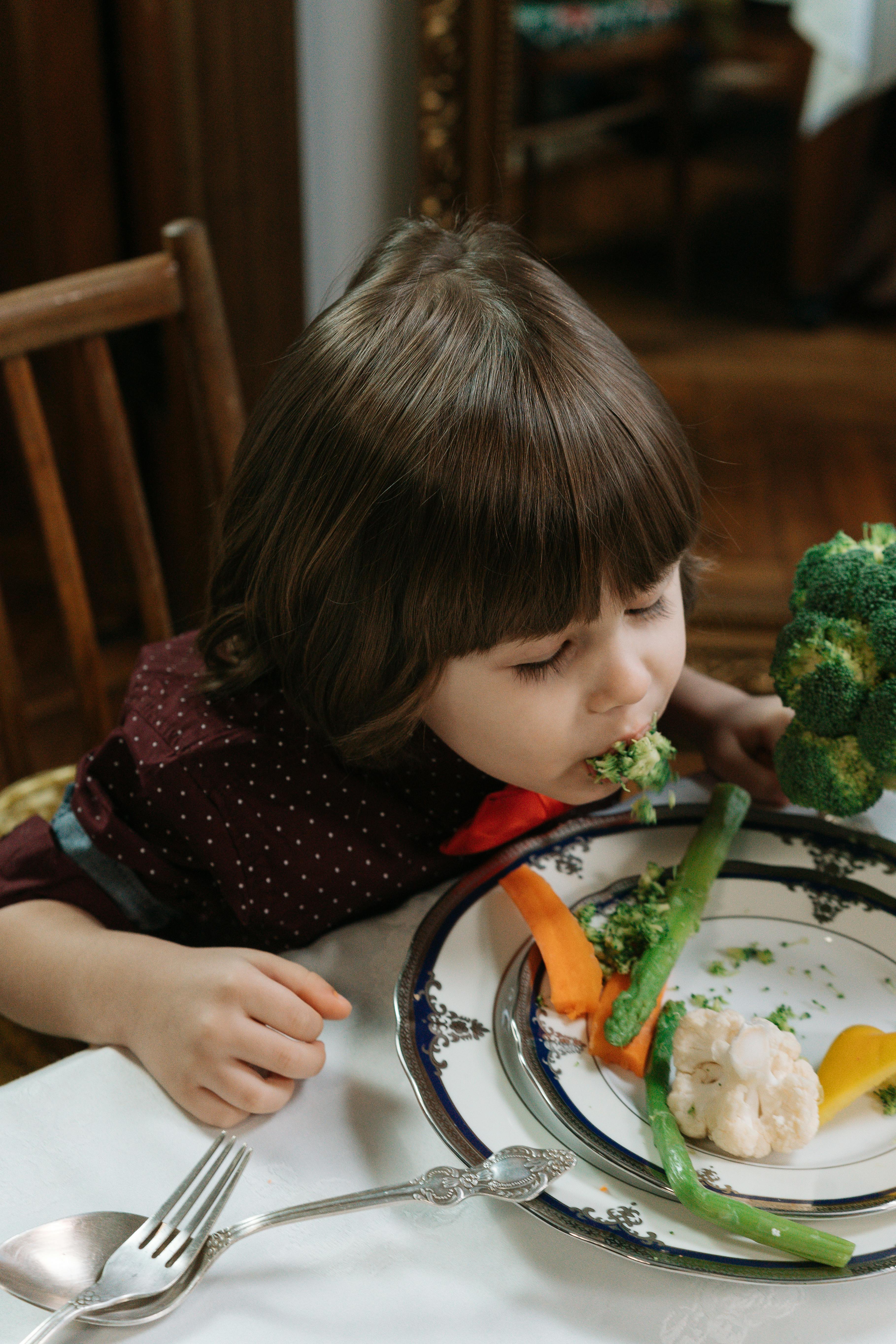 Toddler dinner ideas - colorful plate with mini meatballs, sweet potato mash, and vegetables