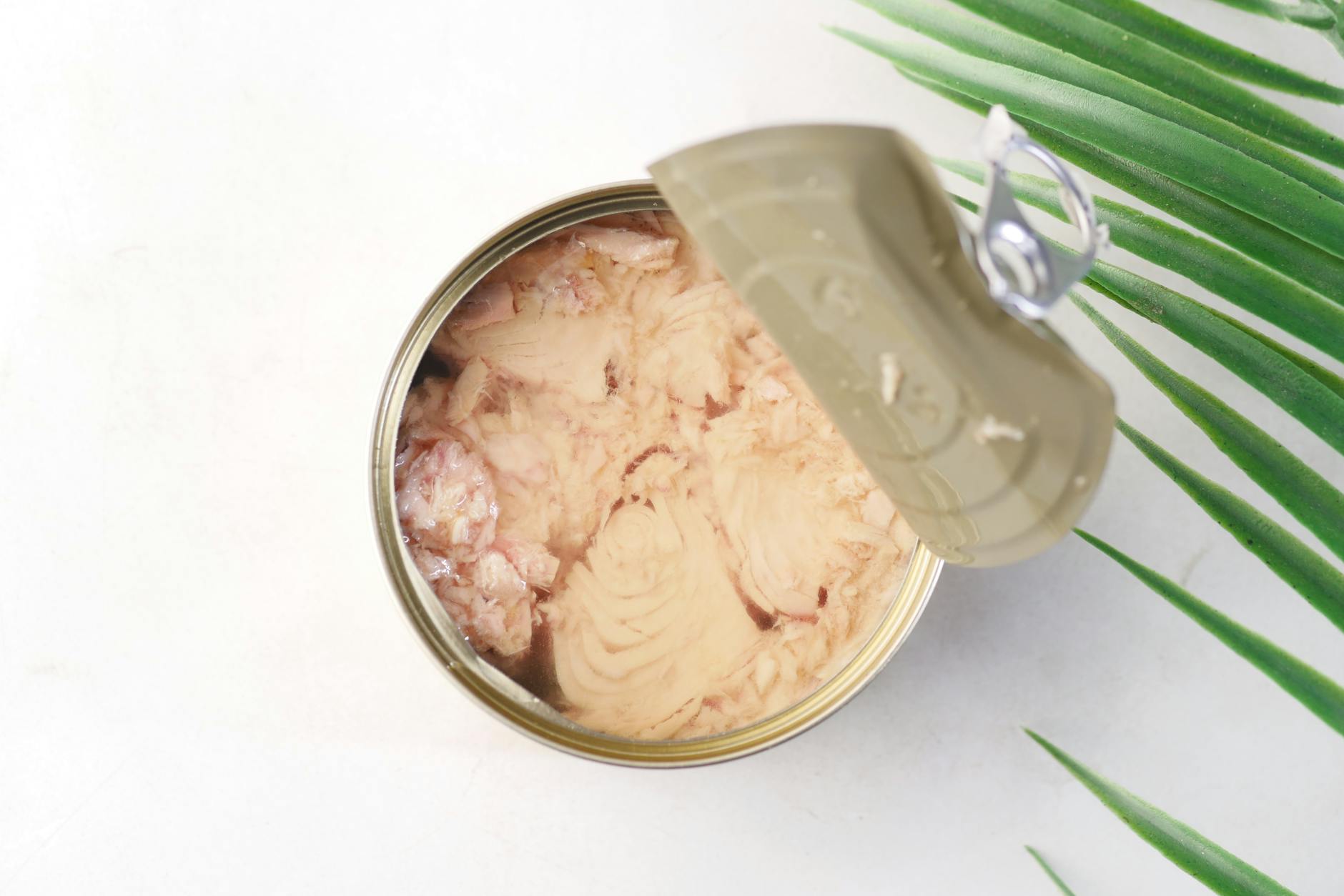 What to Make With Canned Tuna: 15 Creative & Quick Recipe Ideas Beyond the Sandwich