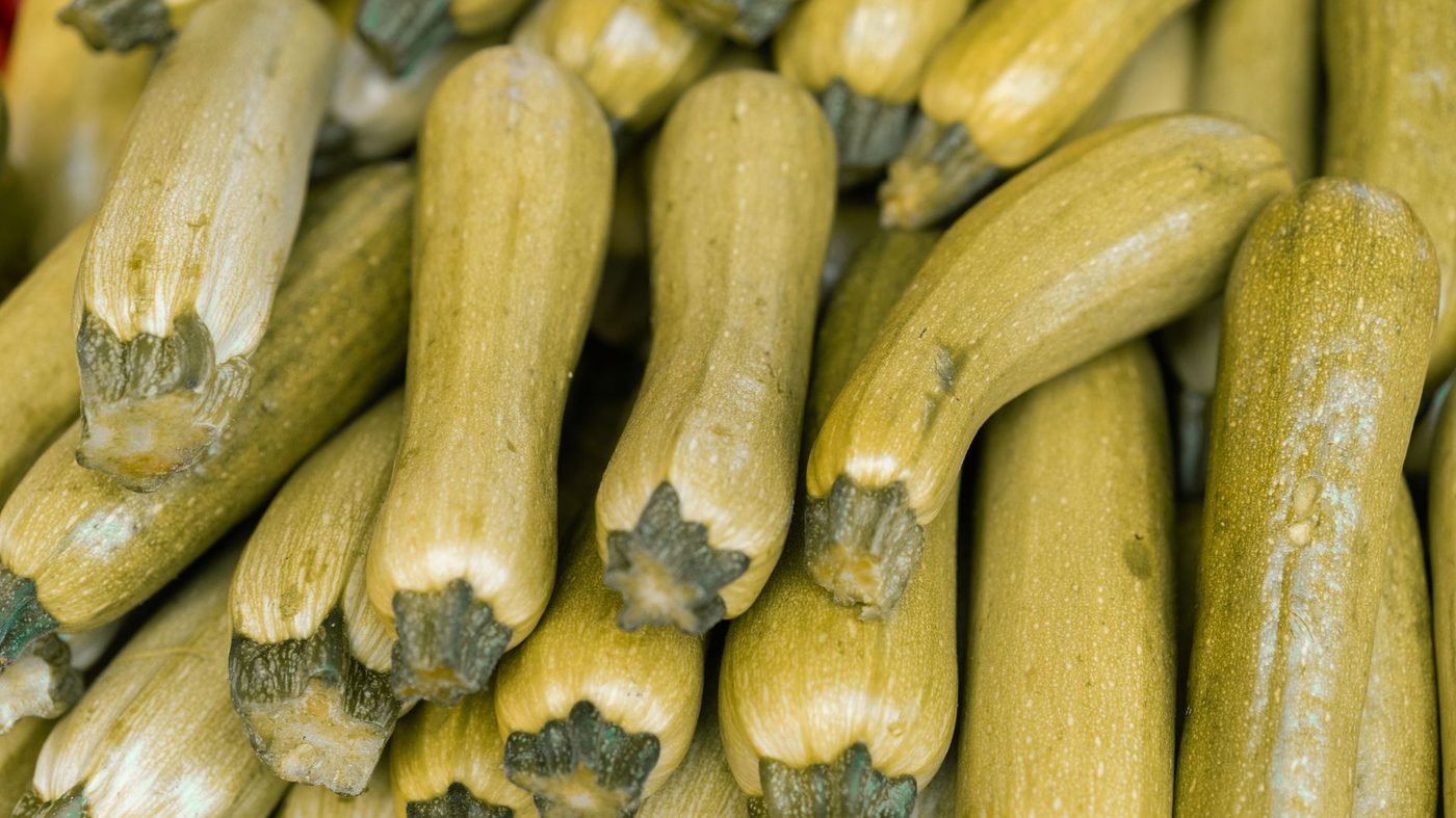 What to Make with Zucchini (when you have too much)