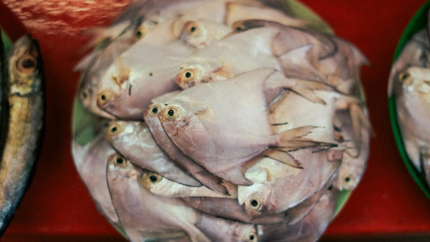 What to Serve with Fish (Easy Side Ideas)
